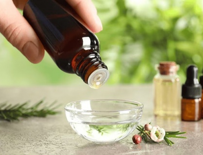 Chăm sóc tóc mùa Hè với tinh dầu tràm trà