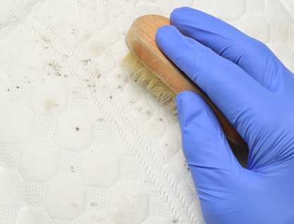 Cách xử lý quần áo ố vàng và nấm mốc