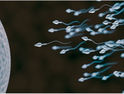 Căng thẳng có thể làm suy giảm chất lượng tinh trùng?