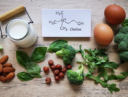 Hay lo âu, có thể não bộ đang thiếu choline 
