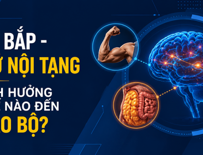 Cơ bắp và mỡ nội tạng ảnh hưởng thế nào đến não bộ?