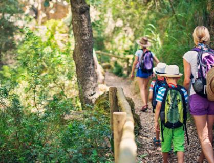 Khám phá 5 lợi ích vượt trội của bộ môn hiking 