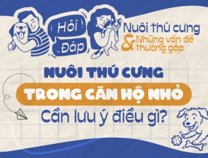 Nuôi thú cưng trong căn hộ nhỏ: Cần lưu ý điều gì?