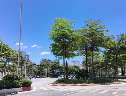 Bắc Bộ sắp có mưa giải nhiệt