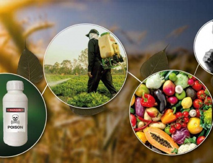Thuốc trừ sâu có thể gây ra những ảnh hưởng gì tới sức khỏe?