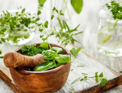Bảo quản các loại rau thơm, gia vị phương Tây thế nào?