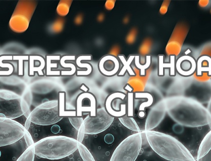 6 yếu tố làm gia tăng stress oxy hóa, tình trạng viêm trong cơ thể 