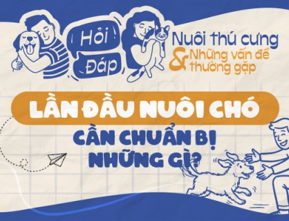 Những điều sen cần biết khi lần đầu nuôi cún