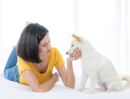 Trò chuyện với thú cưng có phải là một hành vi kỳ quặc?