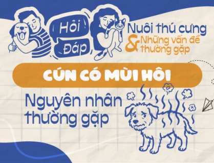 Vì sao cún cưng có mùi hôi khó chịu?