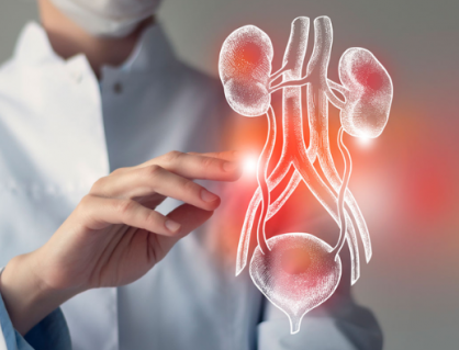 Phát hiện loại vi khuẩn ít được chú ý có thể gây viêm đường tiết niệu