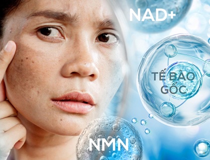 Nguy cơ từ làm đẹp bằng NMN, NAD+ và tế bào gốc
