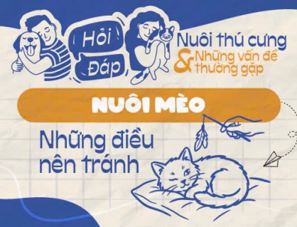 Những hành động nào có thể gây hại cho mèo?