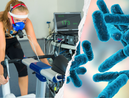 Men vi sinh có thể giúp tăng VO2 max, cải thiện sức bền