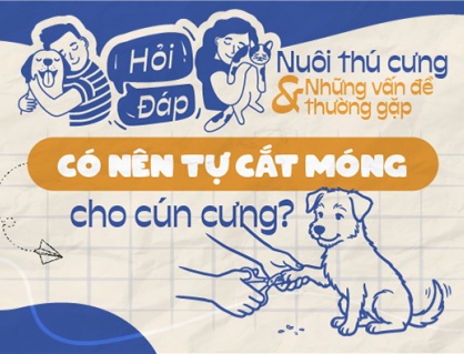 Có nên tự cắt móng cho cún cưng?