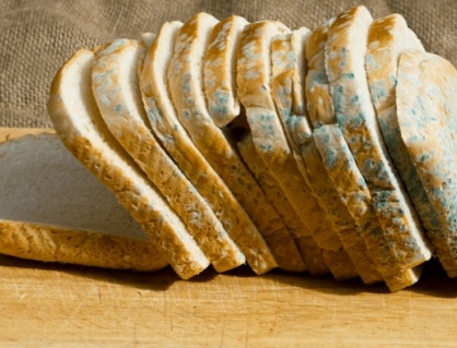 Mẹo bảo quản bánh mì không lo mốc