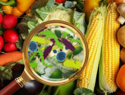 Các loại vi khuẩn gây ngộ độc thực phẩm phổ biến