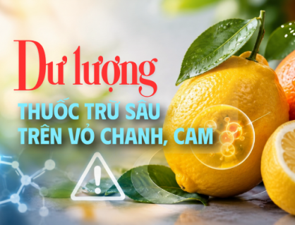 Nguy cơ từ dư lượng thuốc trừ sâu trên vỏ chanh, cam