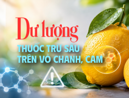 Nguy cơ từ dư lượng thuốc trừ sâu trên vỏ chanh, cam