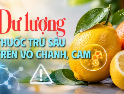 Nguy cơ từ dư lượng thuốc trừ sâu trên vỏ chanh, cam