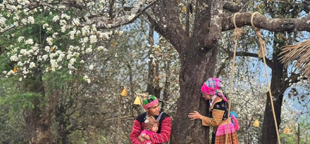 Infographic: Ngọc Chiến - Nậm Nghẹp mùa hoa sơn tra!