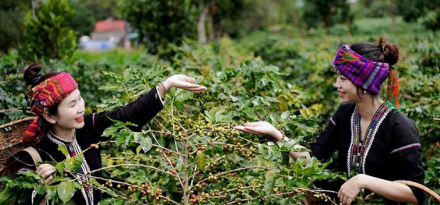 Du lịch Quảng Trị ngoài những điểm đến quen thuộc! (P2)