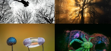 Những bức ảnh thiên nhiên hoang dã đẹp nhất nước Anh năm 2026