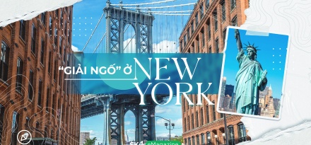 “Giải ngố” ở New York