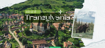 Có gì ở Transylvania?