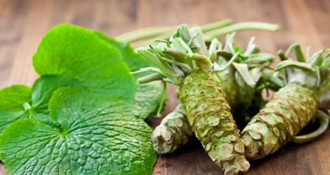 5 lợi ích của wasabi với sức khỏe và vẻ đẹp