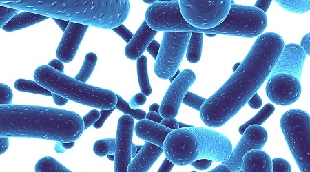 Lợi ích của probiotic và những điều cần lưu ý khi bổ sung probiotic