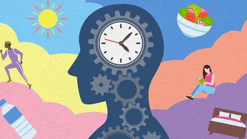 Thiết lập lại “nhịp sinh học” để bảo vệ sức khỏe toàn diện
