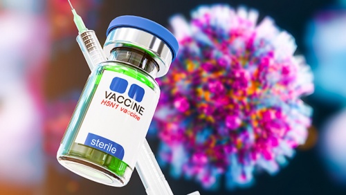 Virus cúm gia cầm hội đủ điều kiện gây ra một đại dịch mới