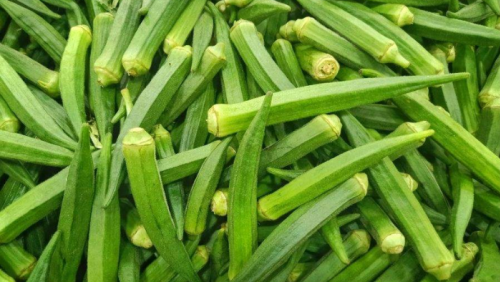 Đậu bắp: Bạn đồng hành của người bệnh đái tháo đường