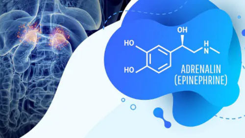 Tìm hiểu chung về loại hormone gây tăng huyết áp, tim đập nhanh