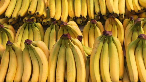 Độ chín của quả chuối tiết lộ điều gì về các lợi ích cho sức khoẻ?
