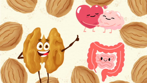 Infographic: Quả óc chó - Lợi ích và những điều cần lưu ý