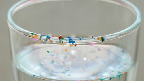 Vi nhựa và hormone: Mối liên hệ đáng lo ngại từ những vật dụng quen thuộc