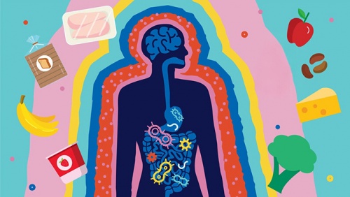 6 thói quen ăn uống khiến hệ vi sinh đường ruột suy yếu
