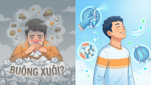 Đừng vội đầu hàng trước bệnh viêm mũi dị ứng!