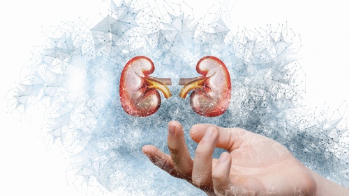 Suy thận độ 3: Giải pháp hỗ trợ làm chậm tiến triển bệnh