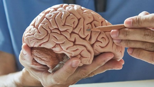 Ca mắc sa sút trí tuệ trẻ nhất nước Anh hiến não cho y học