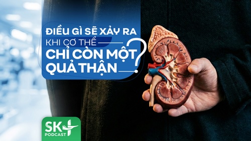 Podcast: Điều gì sẽ xảy ra khi cơ thể chỉ còn một quả thận?