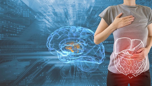 Hormone ghrelin ảnh hưởng đến cơ thể như thế nào?