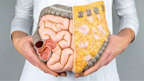 6 dưỡng chất giúp kiểm soát mỡ nội tạng