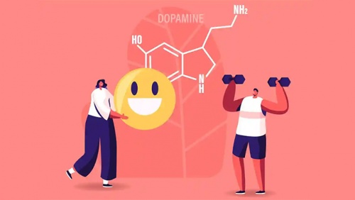 Bổ sung gì để thúc đẩy sản sinh dopamine một cách tự nhiên?