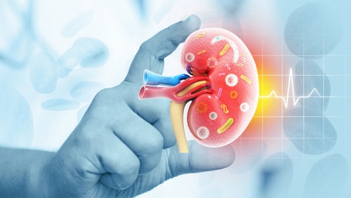 Phát hiện suy giảm chức năng thận: Cơ hội nào cho người bệnh?