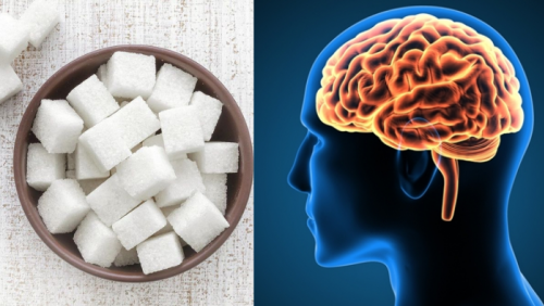 Não bộ thay đổi ra sao sau 1 tháng không ăn đường bổ sung?