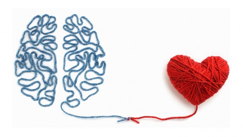 Tim yếu trí nhớ cũng giảm: Sự thật ít được nói đến