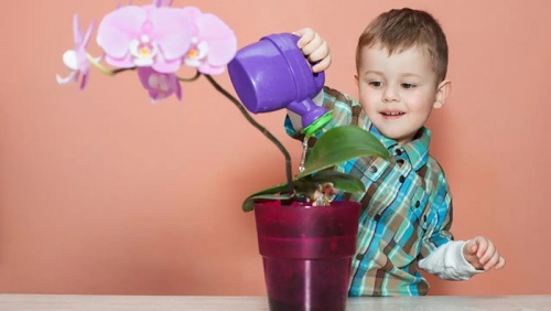 Khi con quá nhạy cảm: 4 dấu hiệu cha mẹ cần để ý